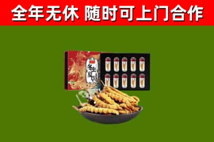 延边回收冬虫夏草价格